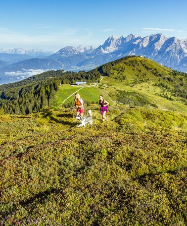vFamilienwandern im Sommer auf der Planai mit Ausblick auf das Dachsteinmassiv | © Johannes Absenger