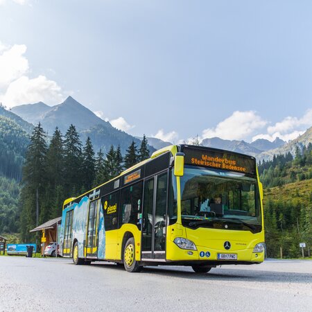 Der Planai-Wanderbus zum Bodensee | © Planai/Klünsner