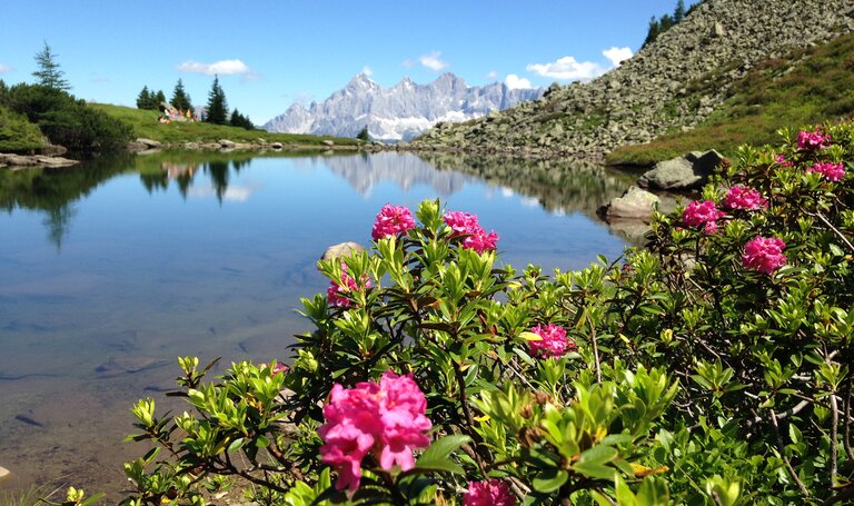 Reiteralm Spiegelsee | © Reiteralm Bergbahnen