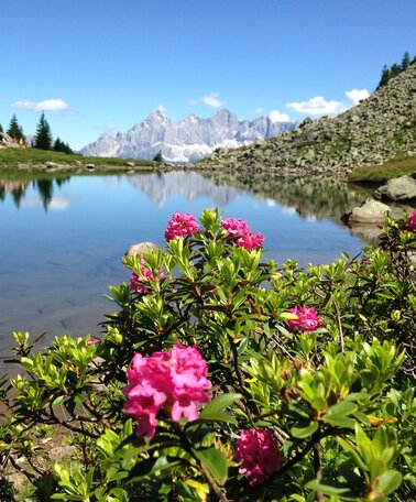 Reiteralm Spiegelsee | © Reiteralm Bergbahnen