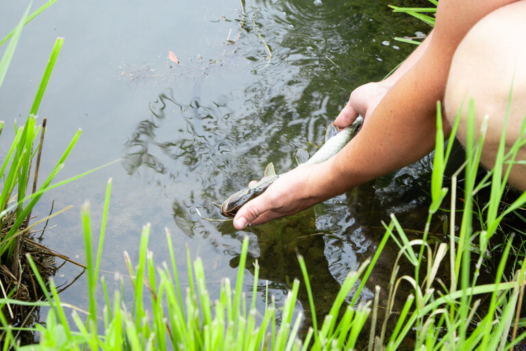 Irdning Fishing Club - Imprese #2.3 | © Fischereiverein Irdning