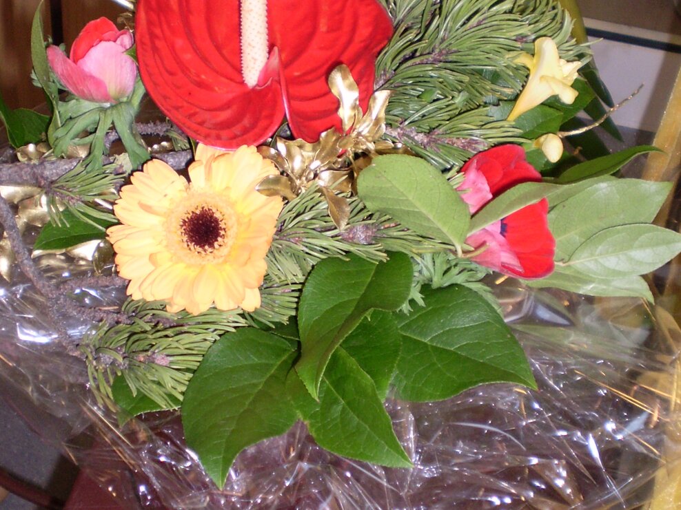 Blumen Sissy - Impression #2.1 | © Blumen Sissy 