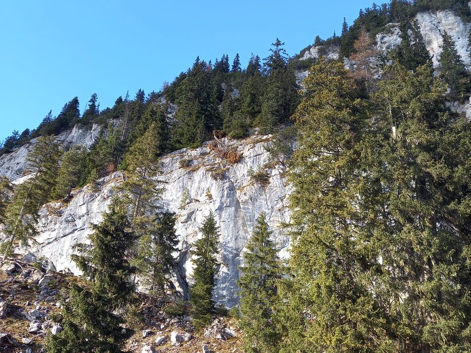 Klettergarten Verlobungskreuz - Impression #1
