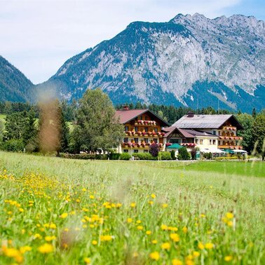 Aussenansicht Sommer  | © Landhotel - Restaurant Häuserl im Wald