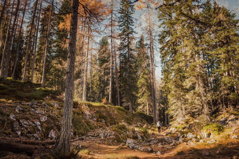 Guided emergency lane hike - Impression #2.1 | © Christoph Huber