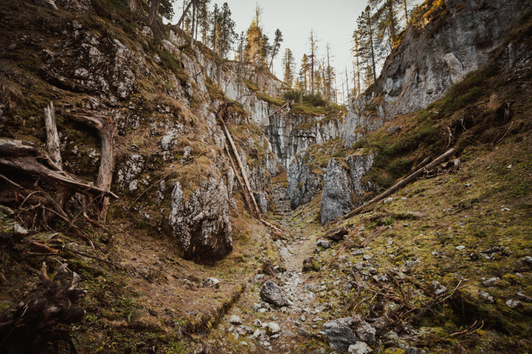 Guided emergency lane hike - Impression #2.4 | © Christoph Huber