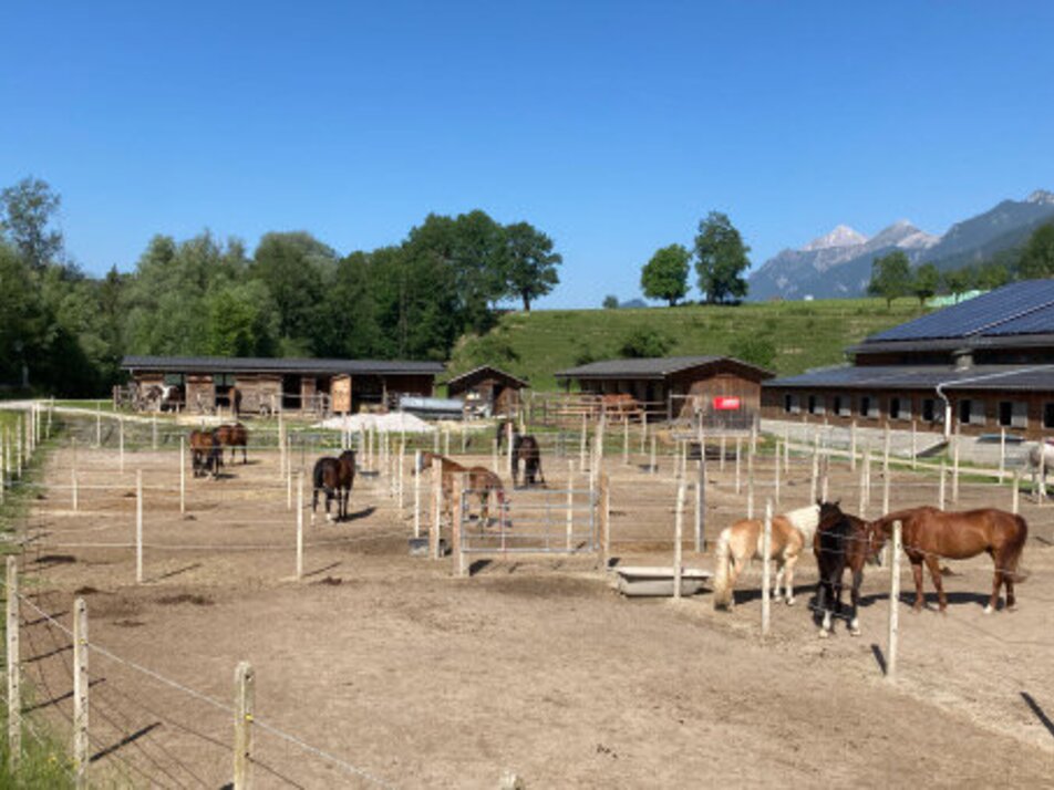 Reitsportzentrum Dunner - Impression #1 | © Reitsportzentrum Dunner