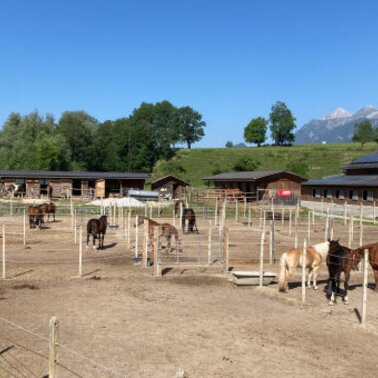 Reitplatz | © Reitsportzentrum Dunner