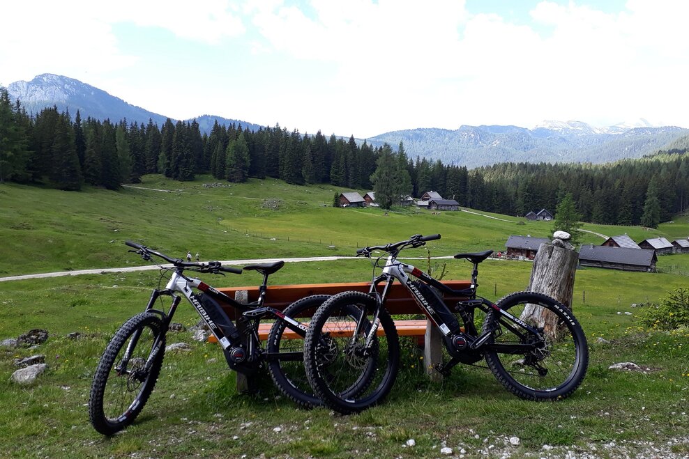 E-Bikes im Hintergrund Viehbergalmen | © TVB Haus-Aich-Gössenberg