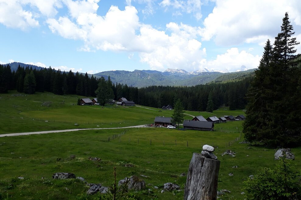 Viehbergalmen | © TVB Haus-Aich-Gössenberg