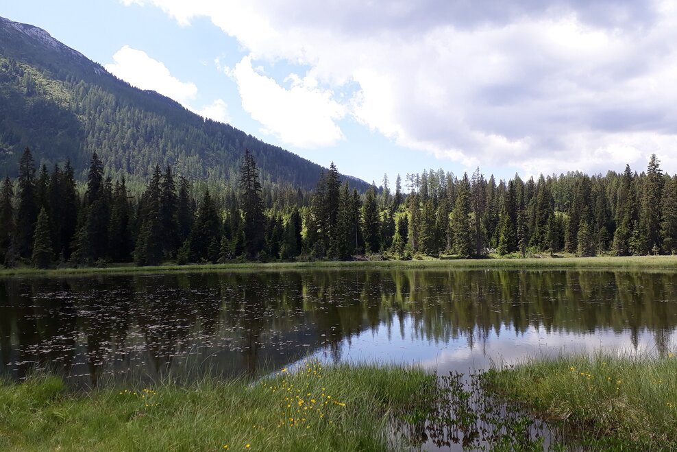 Bergsee | © TVB Haus-Aich-Gössenberg