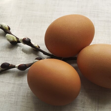 Eier | © Symbolfoto