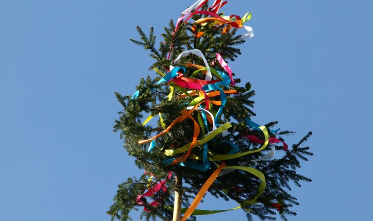 Maibaum_Bild von ariesa66 auf Pixabay | © Symbolfoto