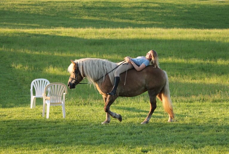Reiten am Hirzhof - Impression #2.1