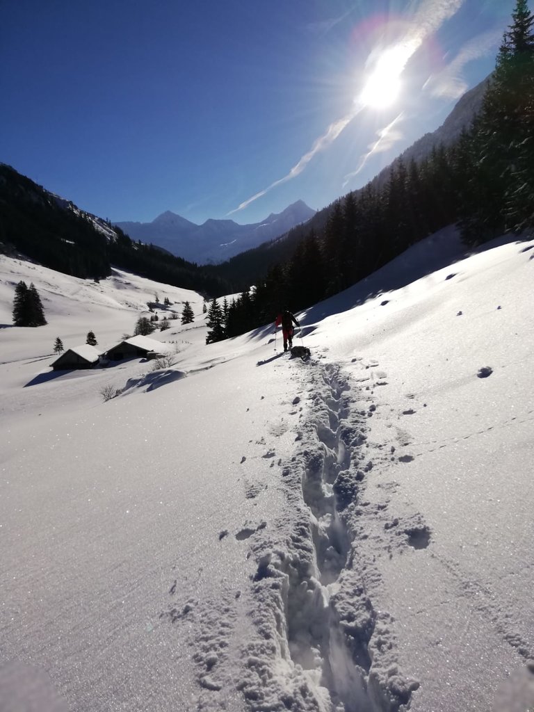 Hansenalm - Impression #2.10
