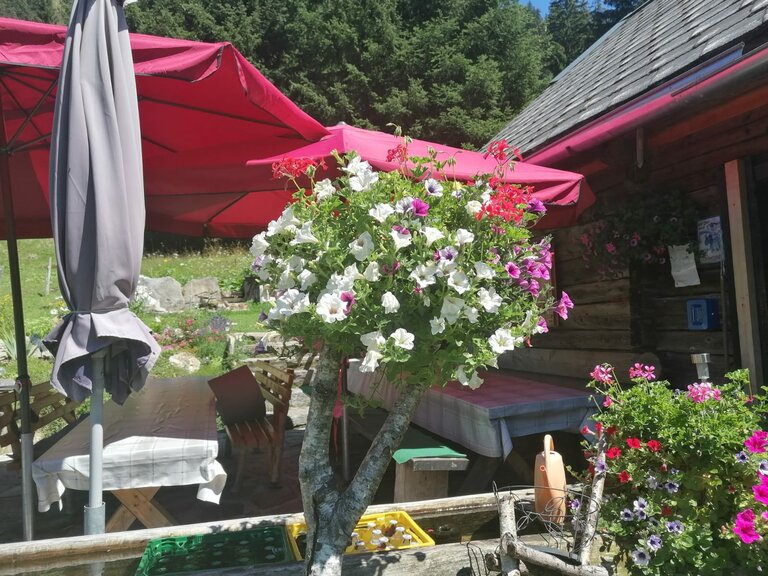 Winkleralm - Impression #2.12 | © Familie Zeiringer
