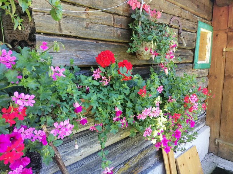 Winkleralm - Impression #2.11 | © Familie Zeiringer