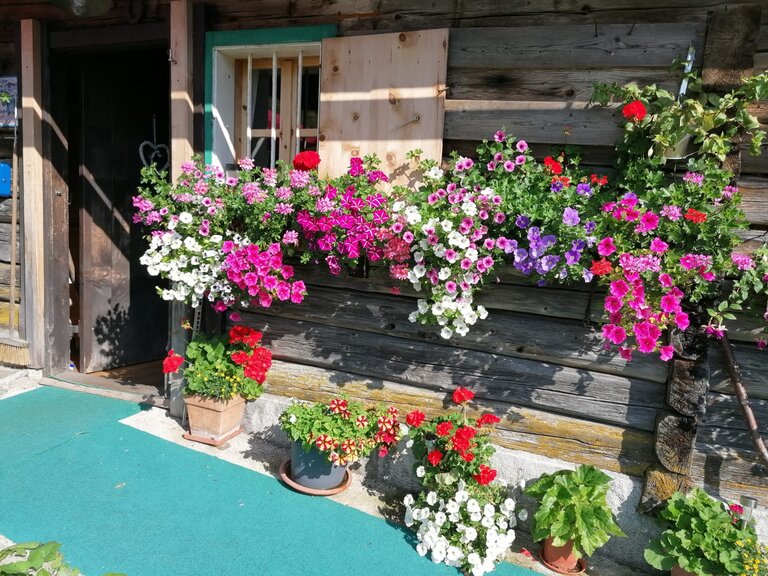 Winkleralm - Impression #2.6 | © Familie Zeiringer