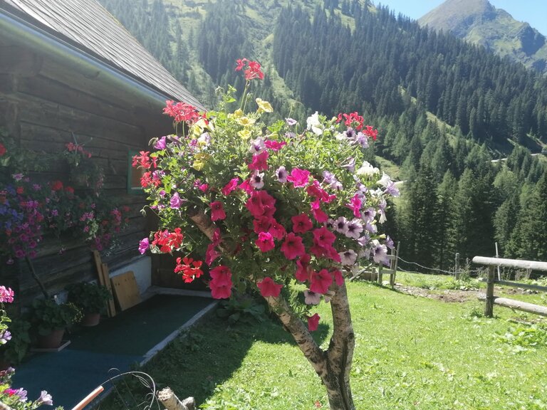 Winkleralm - Impression #2.9 | © Familie Zeiringer