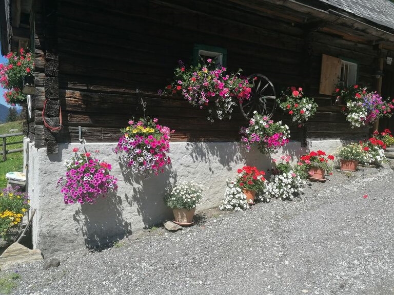 Winkleralm - Impression #2.14 | © Familie Zeiringer