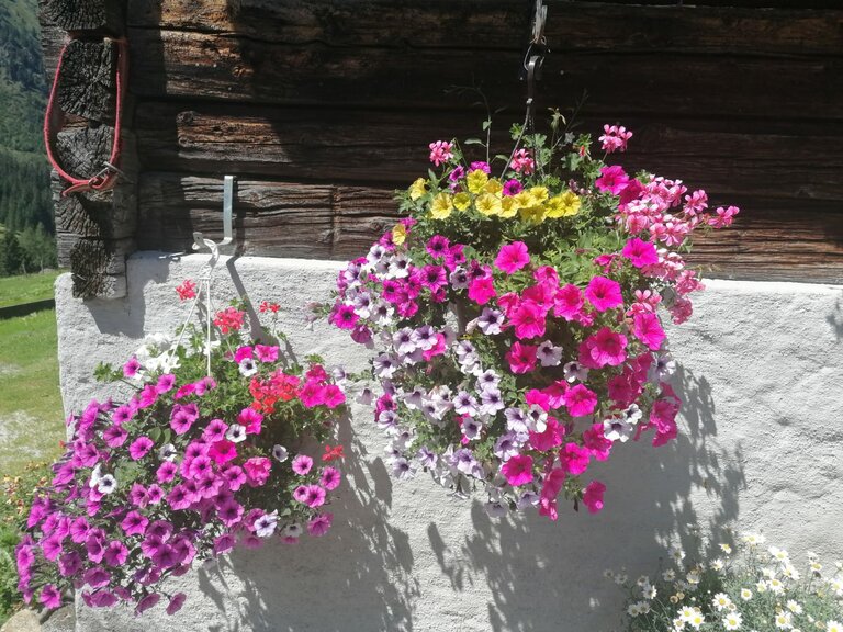 Winkleralm - Impression #2.13 | © Familie Zeiringer