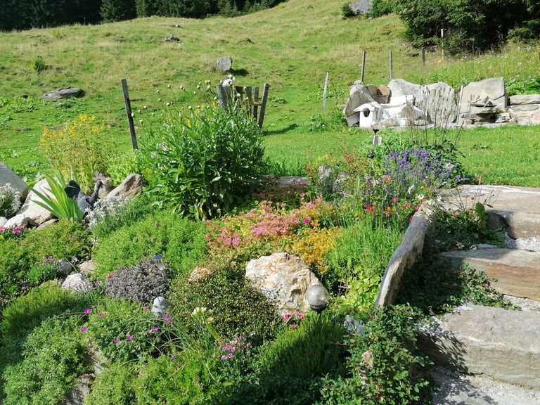 Winkleralm - Impression #2.5 | © Familie Zeiringer