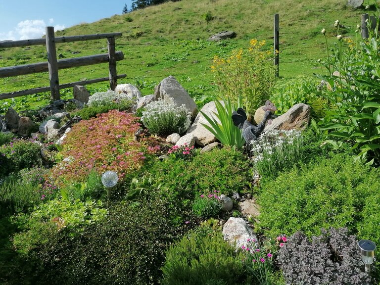 Winkleralm - Impression #2.4 | © Familie Zeiringer