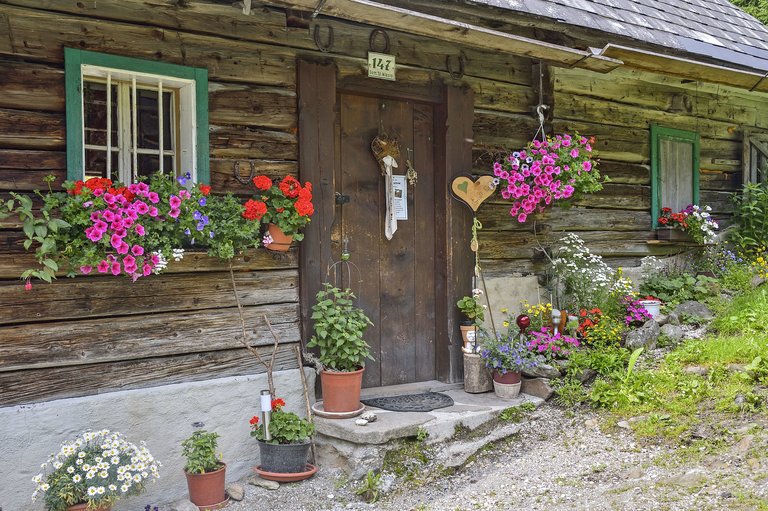 Winkleralm - Impression #2.8 | © Herfried Marek