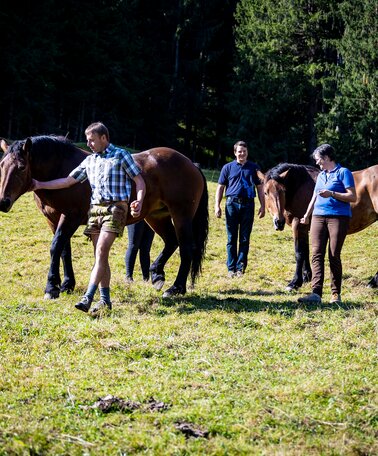 Familie Brandner mit Pferden | © Karl Brandner