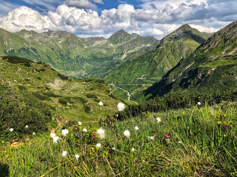 Blick auf den Sölkpass