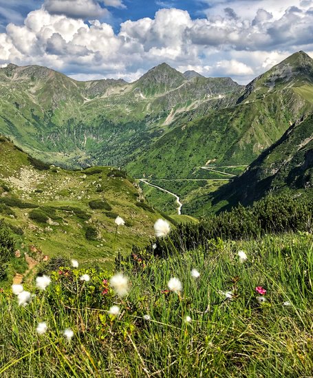 Blick auf den Sölkpass
