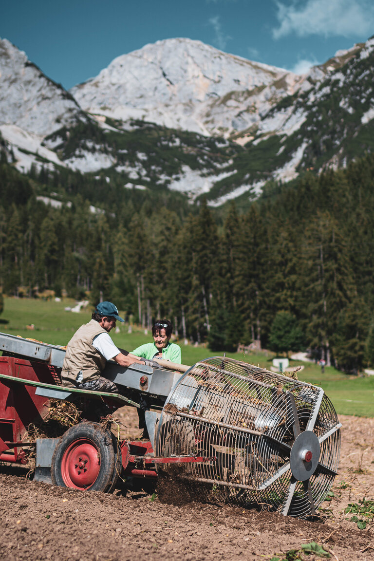 Feistererhof Wirtsstube - Impression #2.7 | © Anna Ullrich