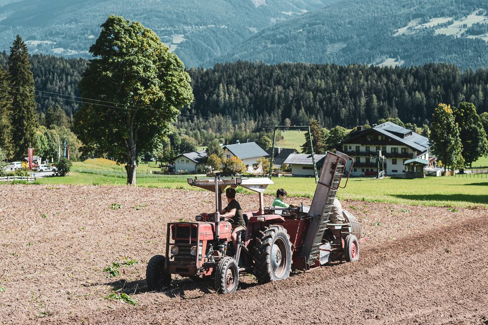 Feistererhof Wirtsstube - Impression #1.1 | © Anna Ullrich