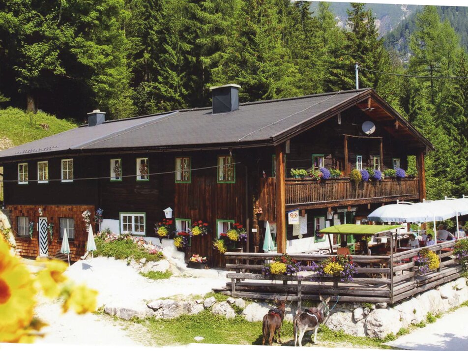 Jausenstation Fliegenpilz mit Sonnenterasse. | © Fliegenpilz