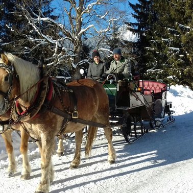 Pferdeschlitten- und Kutschenfahrt im Winter | © Steinbauer