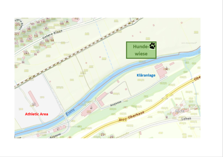 Hundewiese - Schladming - Impression #2.3