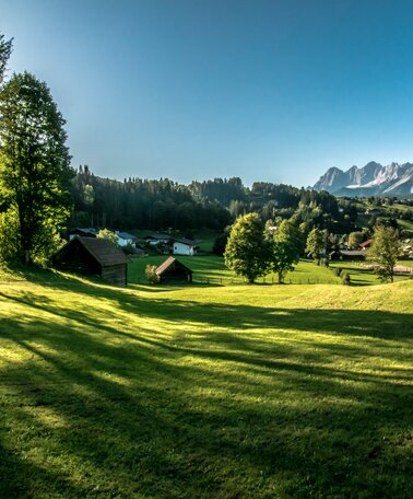 © Gerhard Pilz