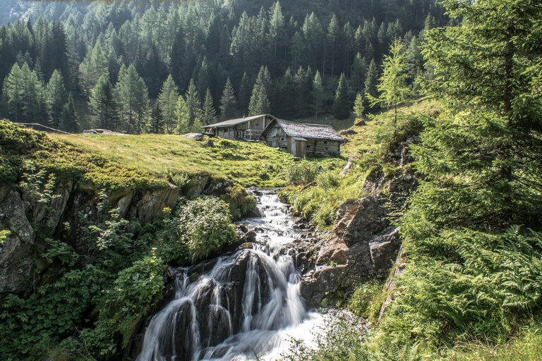 Package Obertaler Berggenuss - Impression #2.9 | © Gerhard Pilz