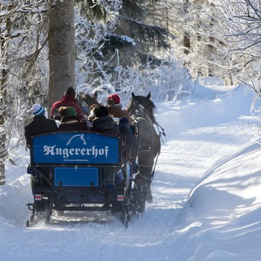 Pferdeschlittenfahrt am Angererhof | © Martin Huber