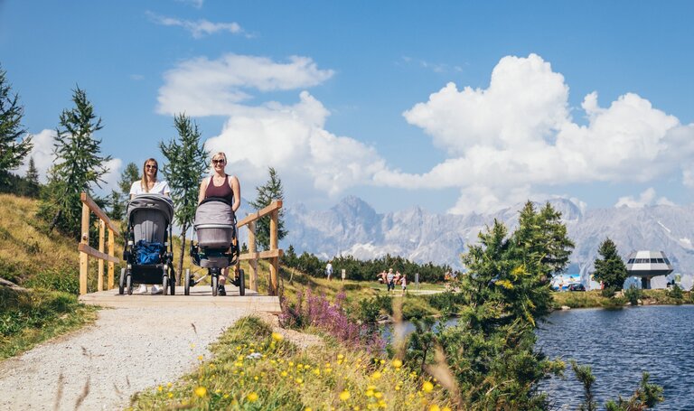 Kinderwagen Rundweg Reiteralm | © Gerhard Pilz/Reiteralm Bergbahnen - Gerald Grünwald