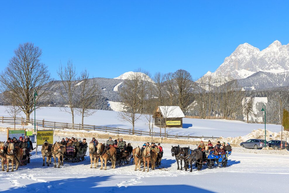 Pferdeschlitten am Startplatz in Rohrmoos-Zentrum | © Martin Huber/Tourismusverband Schladming - Martin Huber