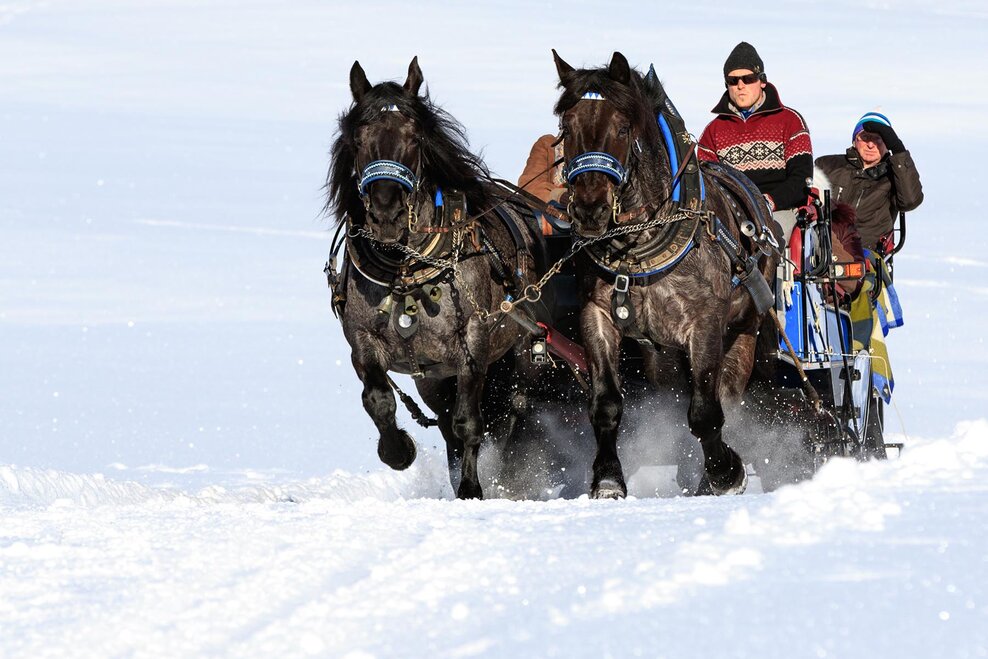 Pferdeschlittentour ins Obertal | © Martin Huber/Tourismusverband Schladming - Martin Huber