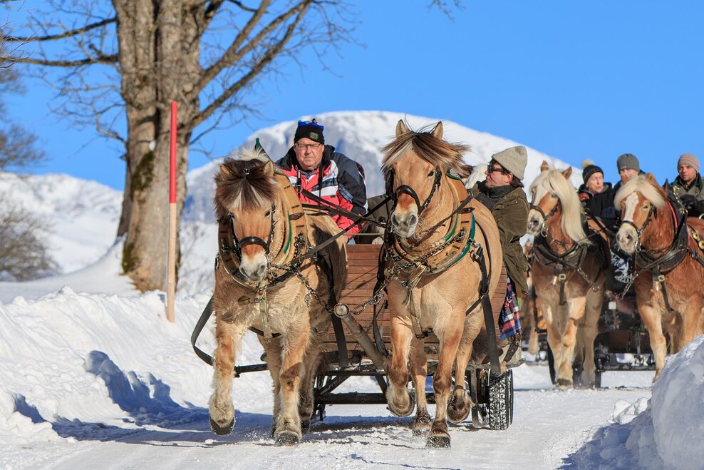 Von Rohrmoos ins Obertal mit dem Pferdeschlitten | © Martin Huber/Tourismusverband Schladming - Martin Huber