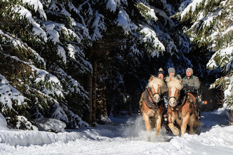 Romantische Fahrt durch Wald und über Wiesen | © Martin Huber/Tourismusverband Schladming - Martin Huber