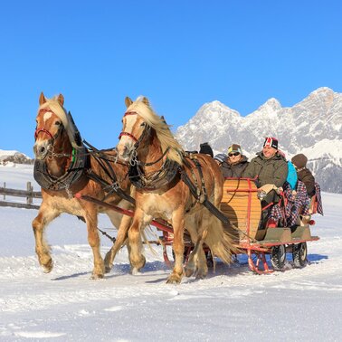 Über die Rohrmooser Frei mit dem Pferdeschlitten - im Hintergrund das Dachstein-Panorama | © Martin Huber/Tourismusverband Schladming - Martin Huber