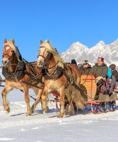 Über die Rohrmooser Frei mit dem Pferdeschlitten - im Hintergrund das Dachstein-Panorama | © Martin Huber/Tourismusverband Schladming - Martin Huber