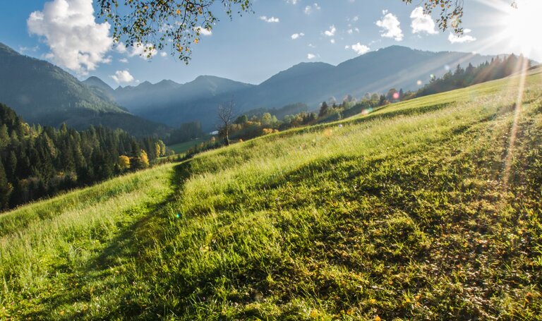 Sonniger Nachmittag am Oberen Talbachweg | © Gerhard Pilz/Gerhard Pilz - www.gpic.at