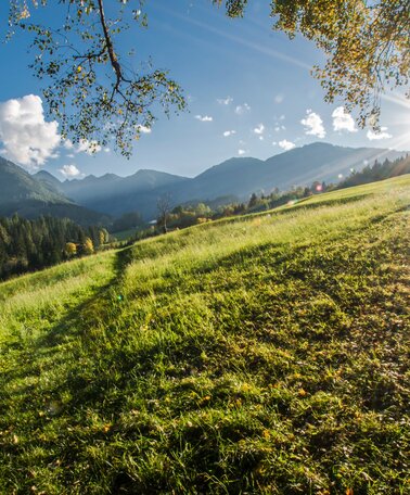 Sonniger Nachmittag am Oberen Talbachweg | © Gerhard Pilz/Gerhard Pilz - www.gpic.at