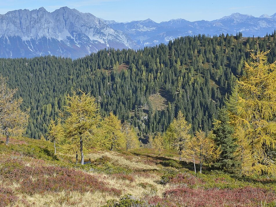 Geologischer Wanderweg 1-14 - Impression #1 | © (c) Herfried Marek/Erlebnisregion Schladming-Dachstein