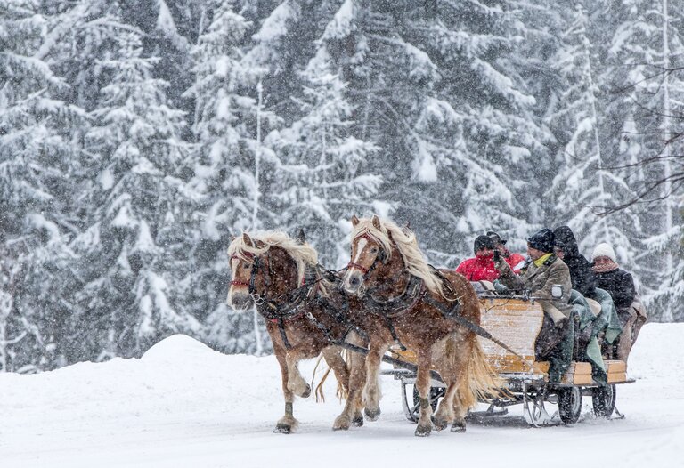 Church and winter landscape" - horse-drawn sleigh ride around the Kulmberg with guided tours of the church. - Impression #2.1